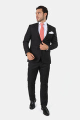 ALBERTO PAOLUCCI REGULAR SOLID SUIT FORMAL 2 BUTTON 2 VENT