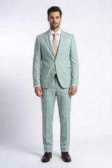 ALBERTO PAOLUCCI SLIM FRESCO SUIT FORMAL 2 BUTTON 2 VENT